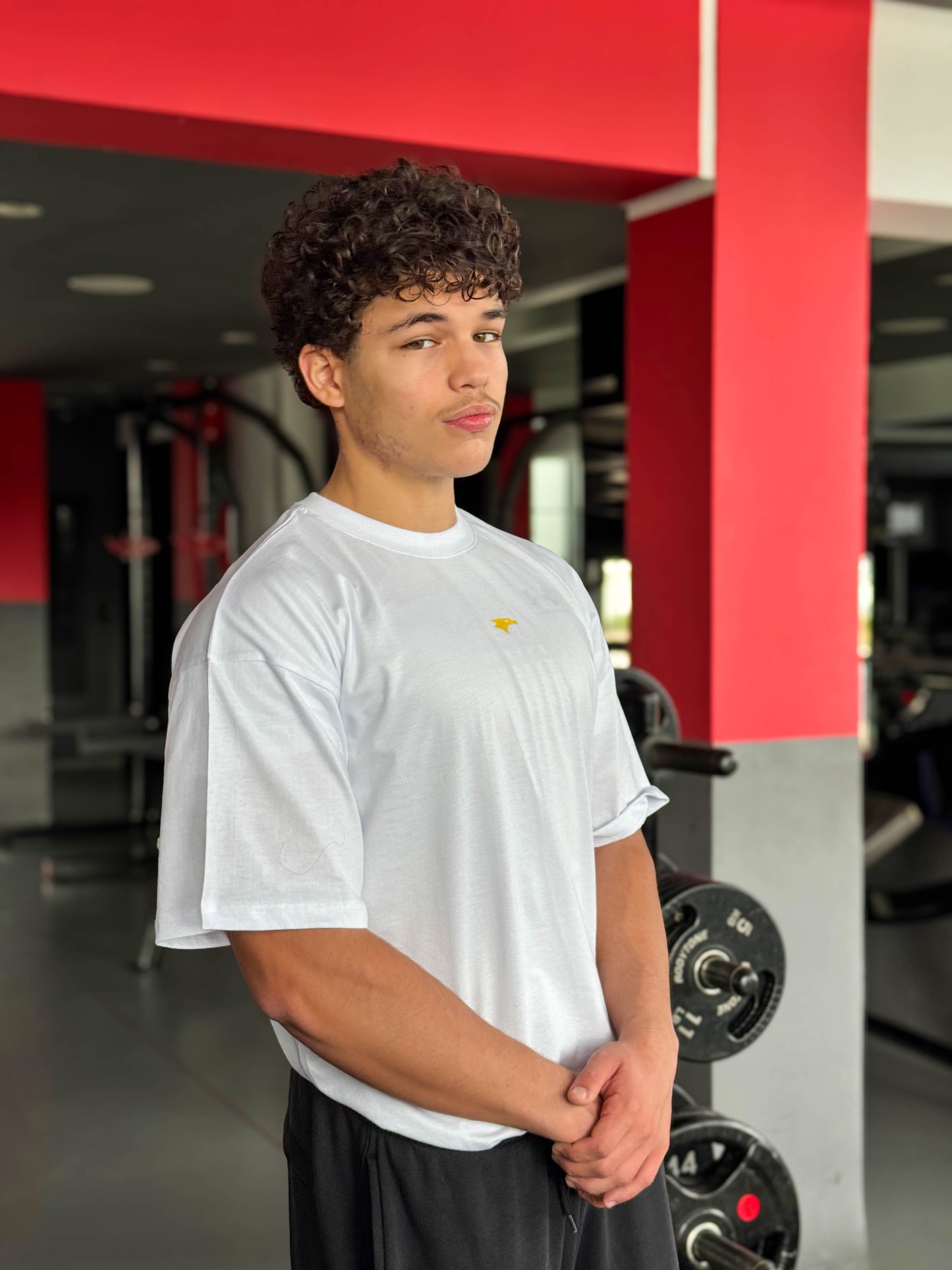 Ascend Beyond Limits Pump Cover